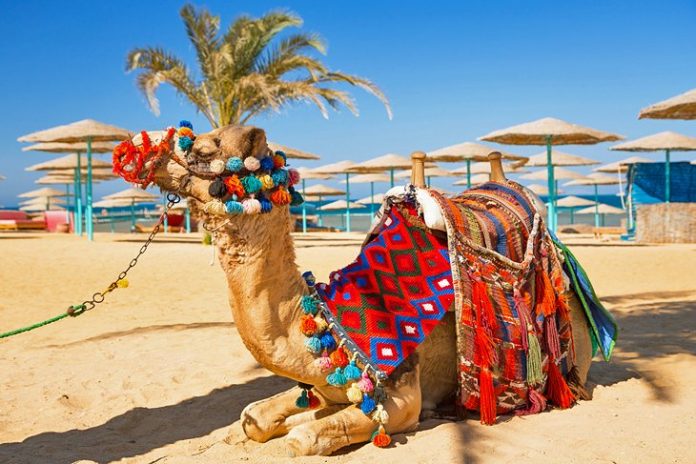 Best Travel Guide for Things to do in Hurghada