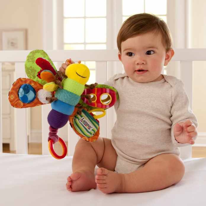 What should you look for while buying toys for 6 month old?
